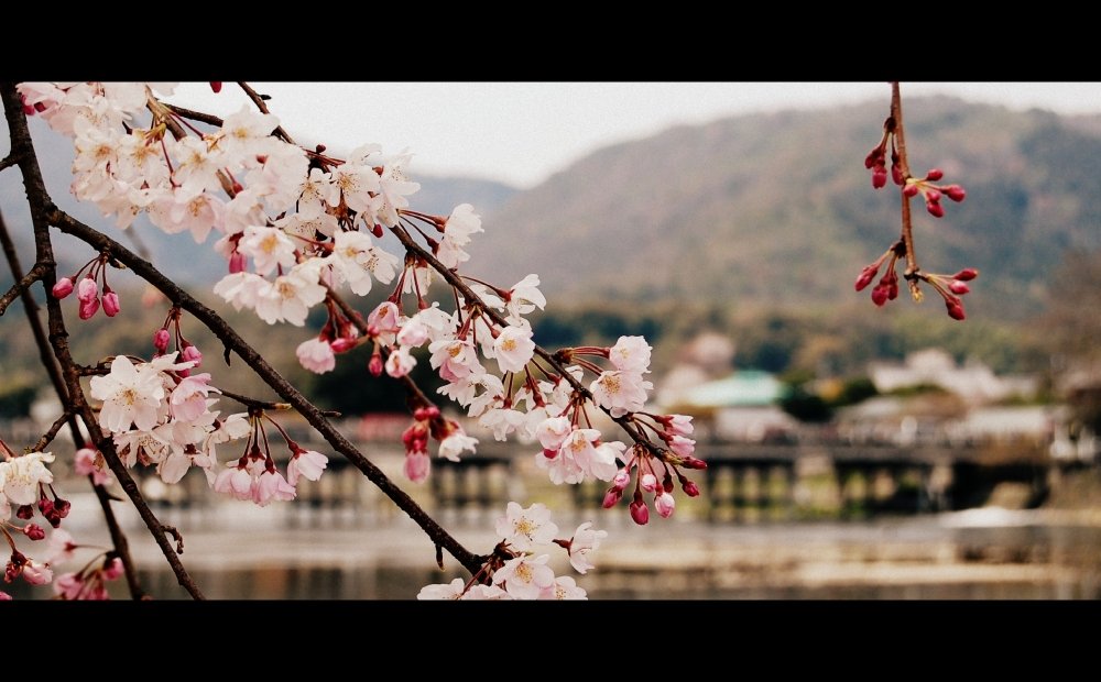 Obstacles to Japanese Investment in Latin America