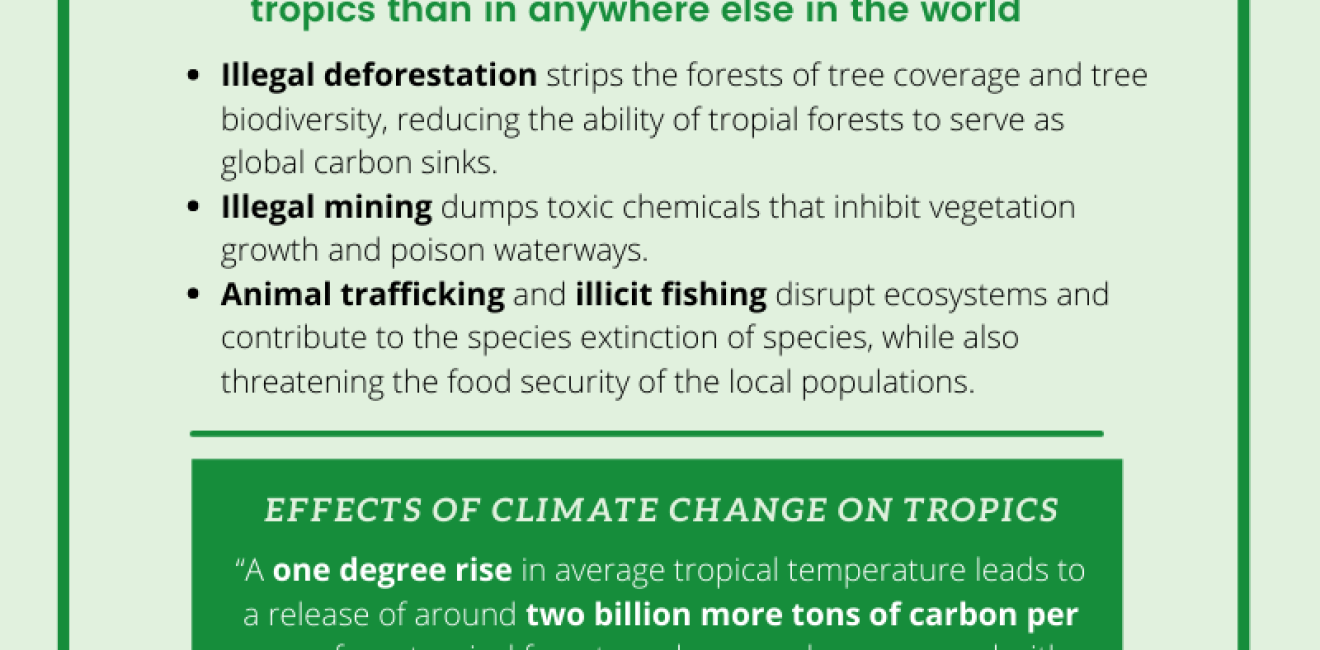 The State of the Global Tropics Infographic