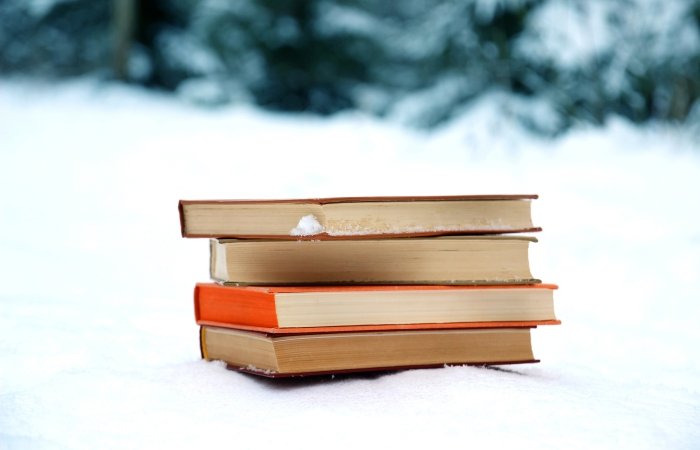 Stack of books in the snow