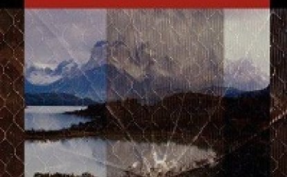 Illegal Drugs, Economy, and Society in the Andes by Francisco E. Thoumi