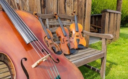 wooden antique musical instruments