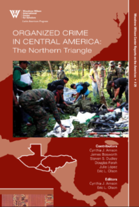 Organized Crime in Central America:  The Northern Triangle (No. 29)