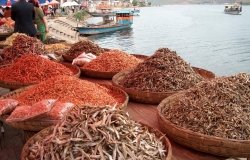 Sustainable Fishing and the Health of the World’s Oceans