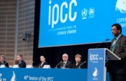 Climate Change: Is Urgency for Action Growing?