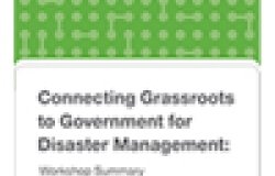Connecting Grassroots to Government for Disaster Management: Workshop Summary