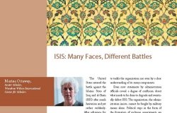 ISIS: Many Faces, Different Battles