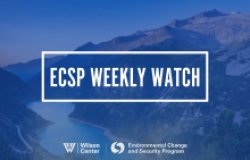 ECSP Weekly Watch