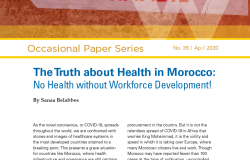 Occasional Paper No 35