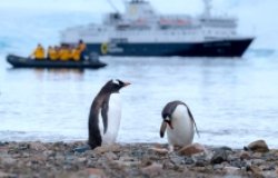 Protecting Antarctica: Argentine-Chilean Science Diplomacy in the Southern Ocean