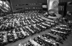 The Fate of the International Order